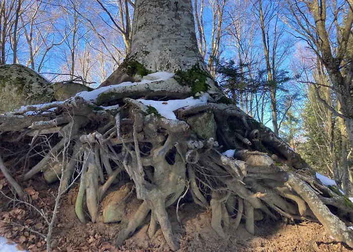 Andrea's Nido Privatunterkunft *